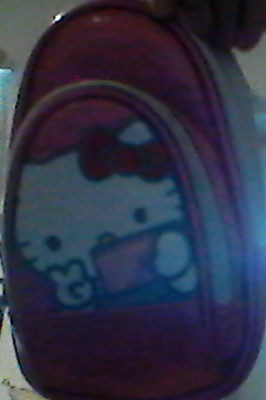 Hello Kitty Nintendo DS case 2.png