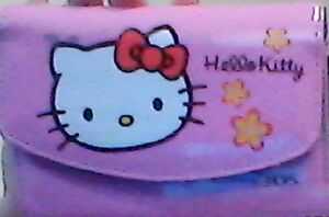 Hello Kitty Nintendo DS case.jpg