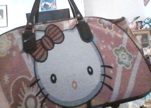 Hello Kitty travel case.png