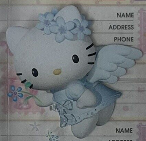 Angel Kitty art 2.png